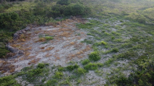 Ninth image of #89 Flamingo Beach in Falmouth, Trelawny, Jamaica - property is For Rent