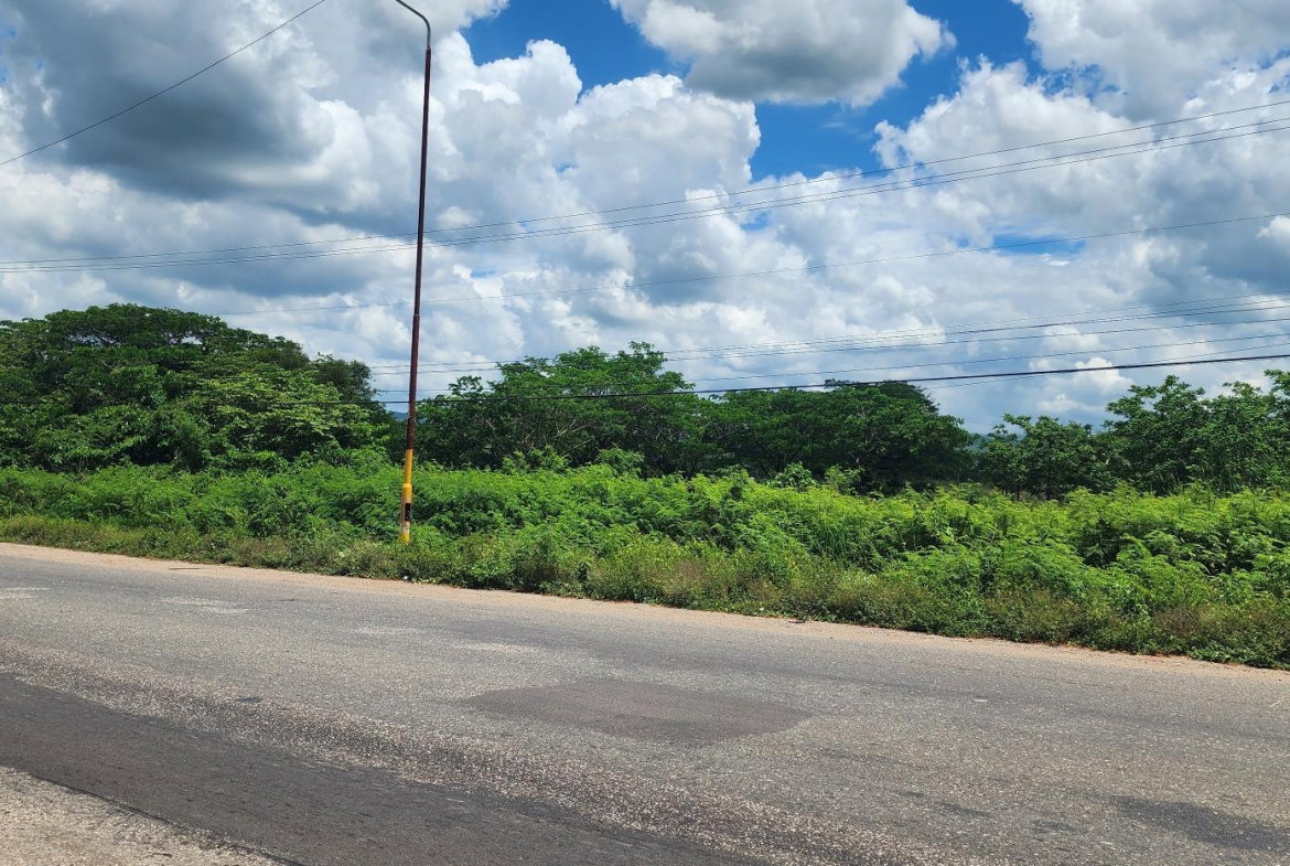 First image of Lot#1-1 George's Pen, Four Paths in Four Paths, Clarendon, Jamaica - property is For Sale