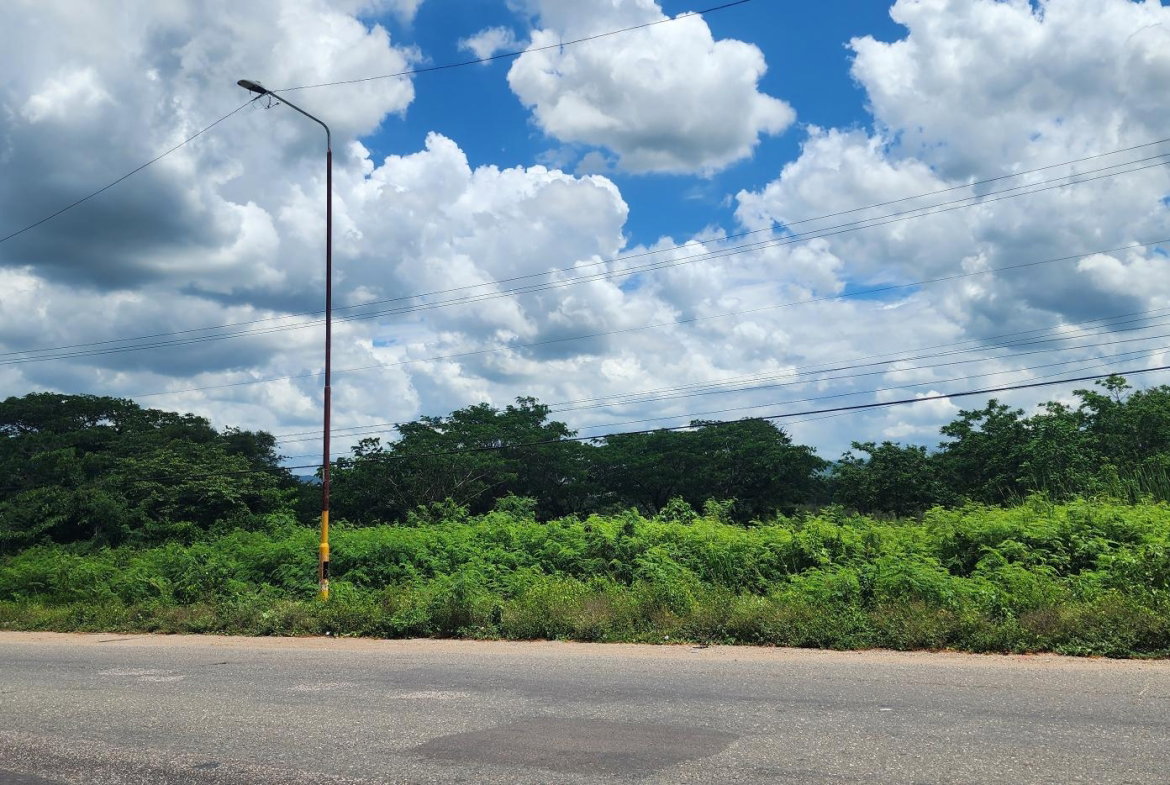 Fifth image of Lot#1-1 George's Pen, Four Paths in Four Paths, Clarendon, Jamaica - property is For Sale
