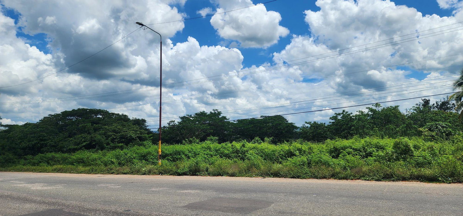 Prime-19-Acre-Residential-Development-Land-for-Sale-in-Clarendon-Jamaica Fifth image of Lot#1-1 George's Pen, Four Paths in Four Paths, Clarendon, Jamaica - property is For Sale