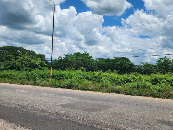 First image of Lot#1-1 George's Pen, Four Paths in Four Paths, Clarendon, Jamaica - property is For Sale