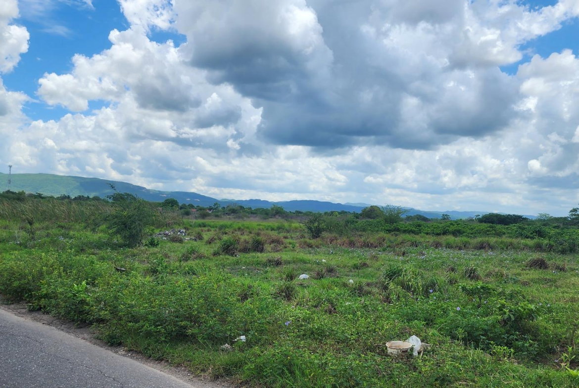 Seventh image of Lot#1-1 George's Pen, Four Paths in Four Paths, Clarendon, Jamaica - property is For Sale