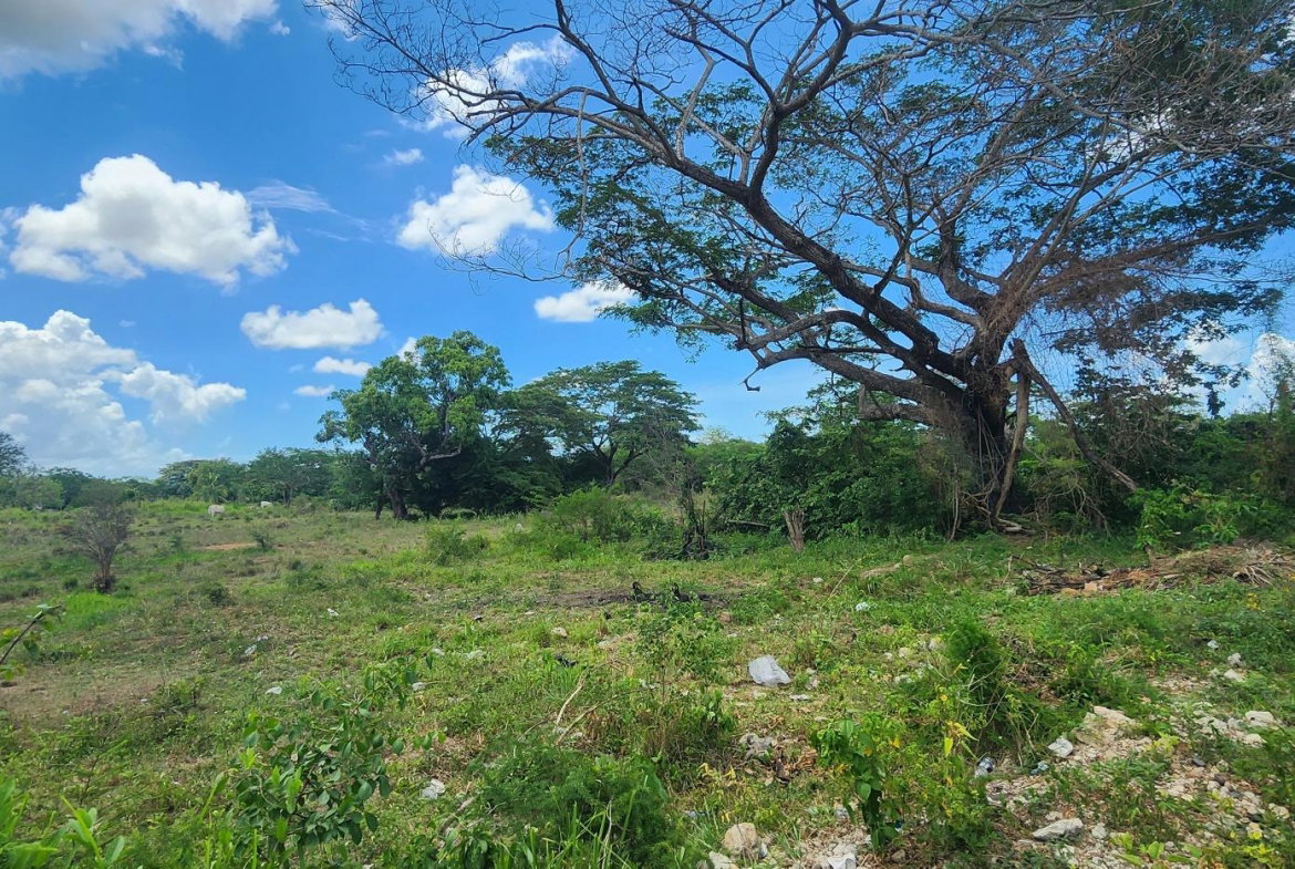 Eighth image of Lot#1-1 George's Pen, Four Paths in Four Paths, Clarendon, Jamaica - property is For Sale