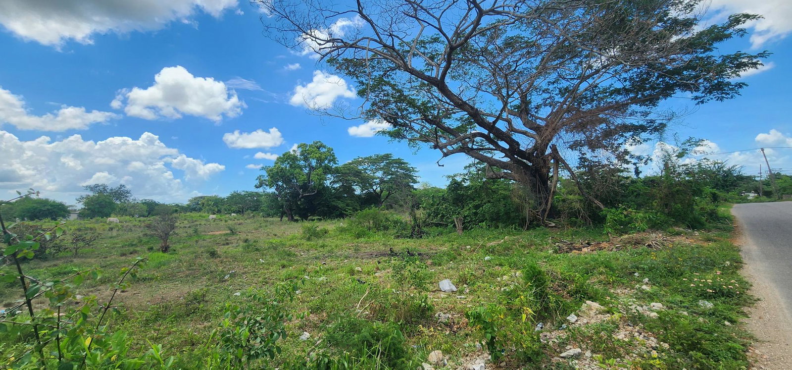 Prime-19-Acre-Residential-Development-Land-for-Sale-in-Clarendon-Jamaica Eighth image of Lot#1-1 George's Pen, Four Paths in Four Paths, Clarendon, Jamaica - property is For Sale