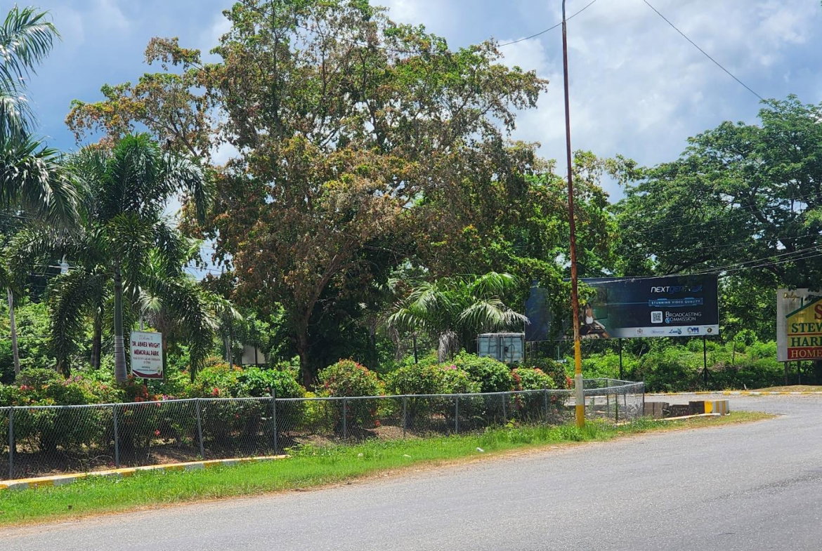 Tenth image of Lot#1-1 George's Pen, Four Paths in Four Paths, Clarendon, Jamaica - property is For Sale