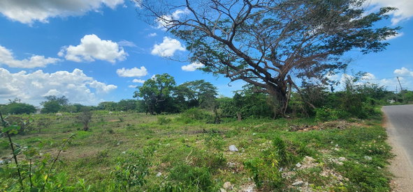 Second image of George's Pen, Four Paths in Four Paths, Clarendon, Jamaica - property is For Sale