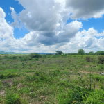 First image of George's Pen, Four Paths in Four Paths, Clarendon, Jamaica - property is For Sale