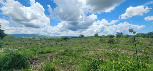 First image of George's Pen, Four Paths in Four Paths, Clarendon, Jamaica - property is For Sale