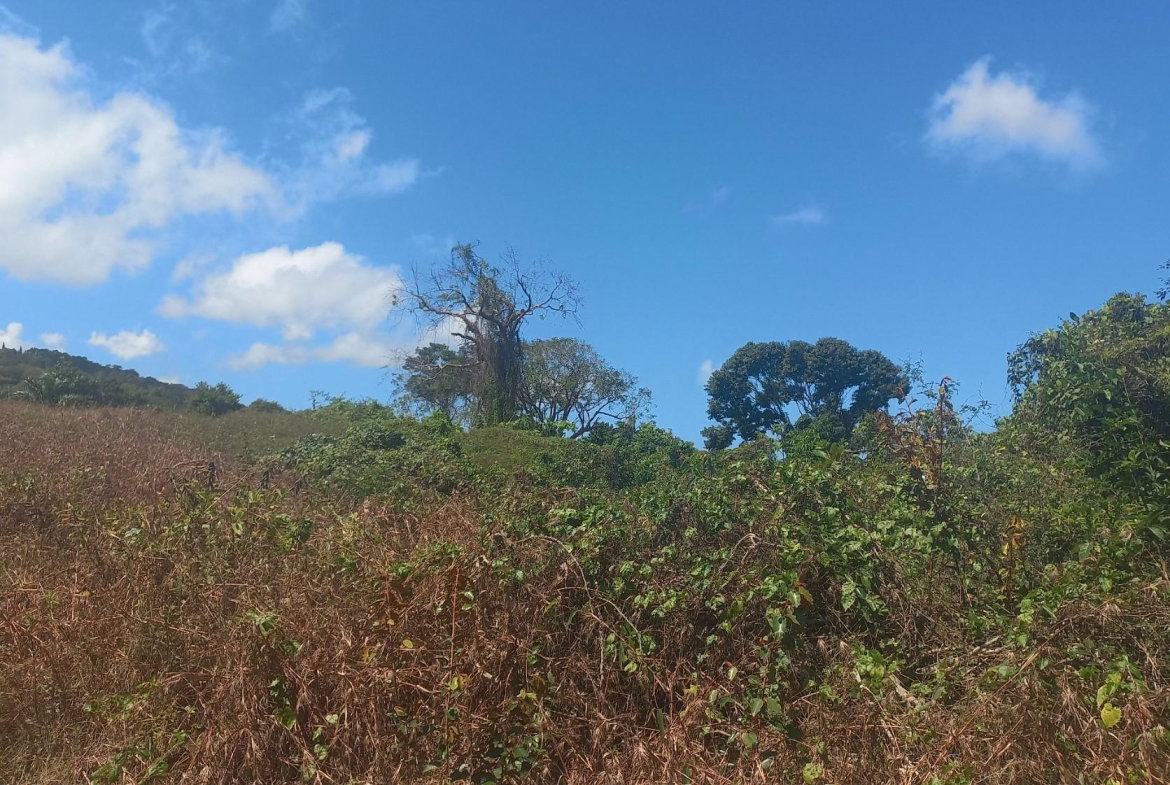 Second image of Spot Valley, St. James in SPOT VALLEY, St. James, Jamaica - property is For Sale