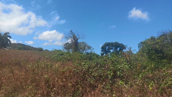 Second image of Spot Valley, St. James in SPOT VALLEY, St. James, Jamaica - property is For Sale