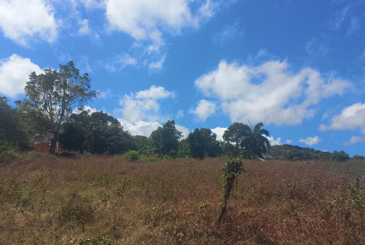 Third image of Spot Valley, St. James in SPOT VALLEY, St. James, Jamaica - property is For Sale