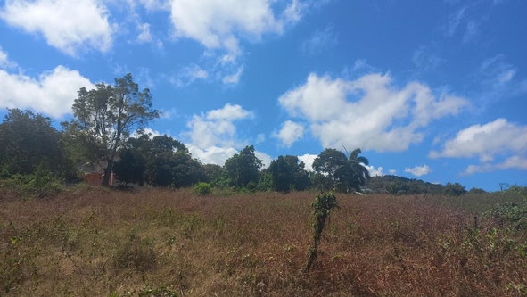 Third image of Spot Valley, St. James in SPOT VALLEY, St. James, Jamaica - property is For Sale