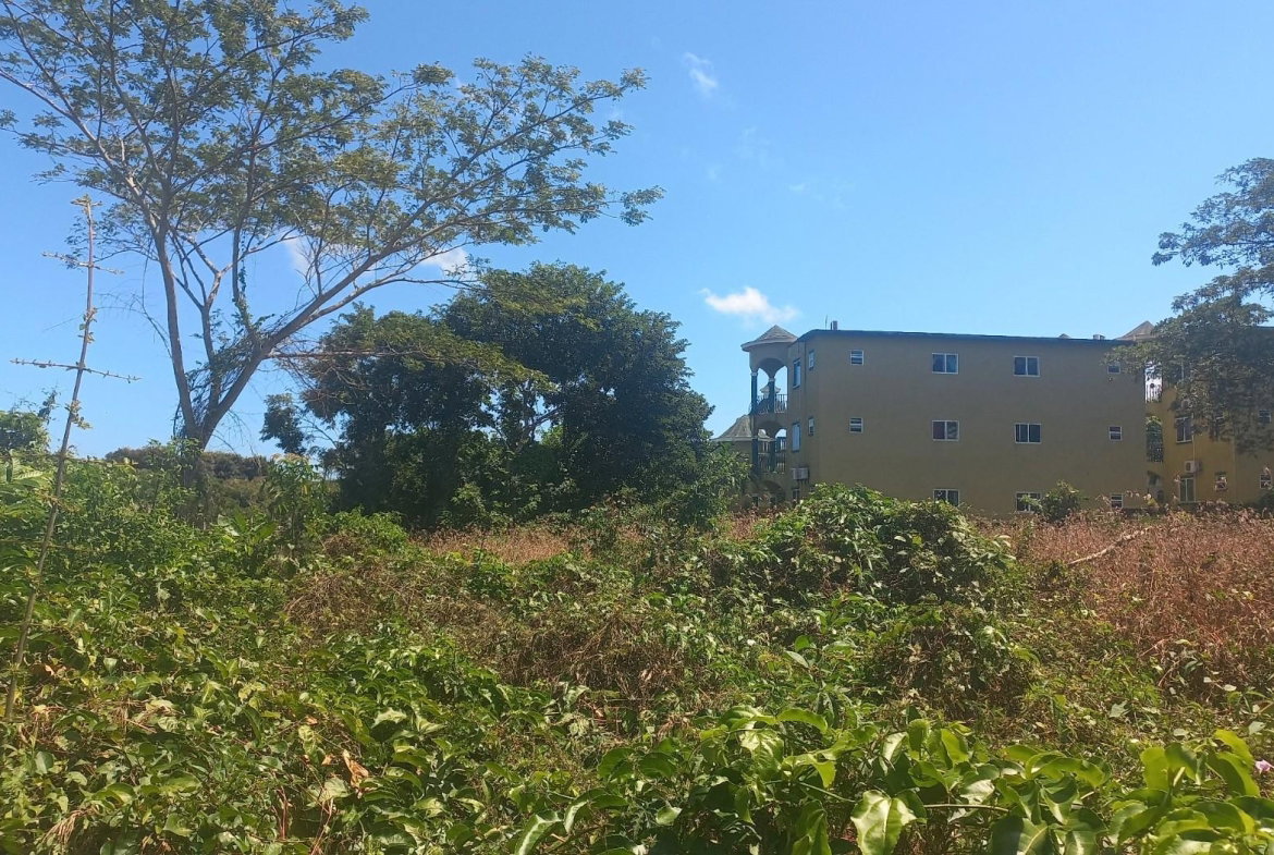Fourth image of Spot Valley, St. James in SPOT VALLEY, St. James, Jamaica - property is For Sale