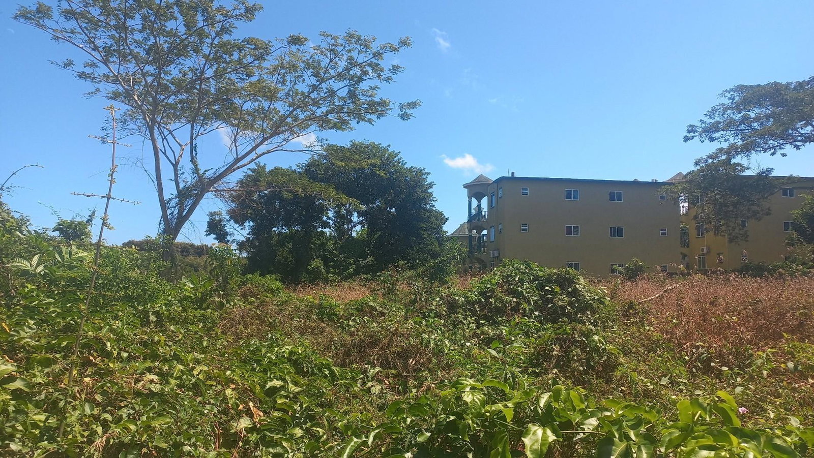 Prime-8-Acre-Development-Land-for-Sale-in-Rose-Hall-Montego-Bay-St.-James Fourth image of Spot Valley, St. James in SPOT VALLEY, St. James, Jamaica - property is For Sale
