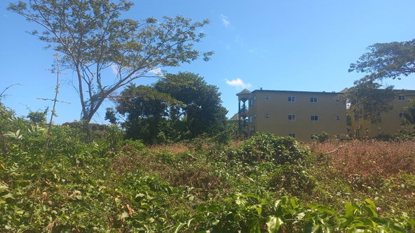 Fourth image of Spot Valley, St. James in SPOT VALLEY, St. James, Jamaica - property is For Sale