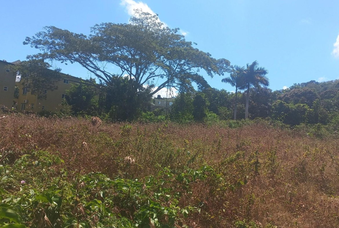 Fifth image of Spot Valley, St. James in SPOT VALLEY, St. James, Jamaica - property is For Sale