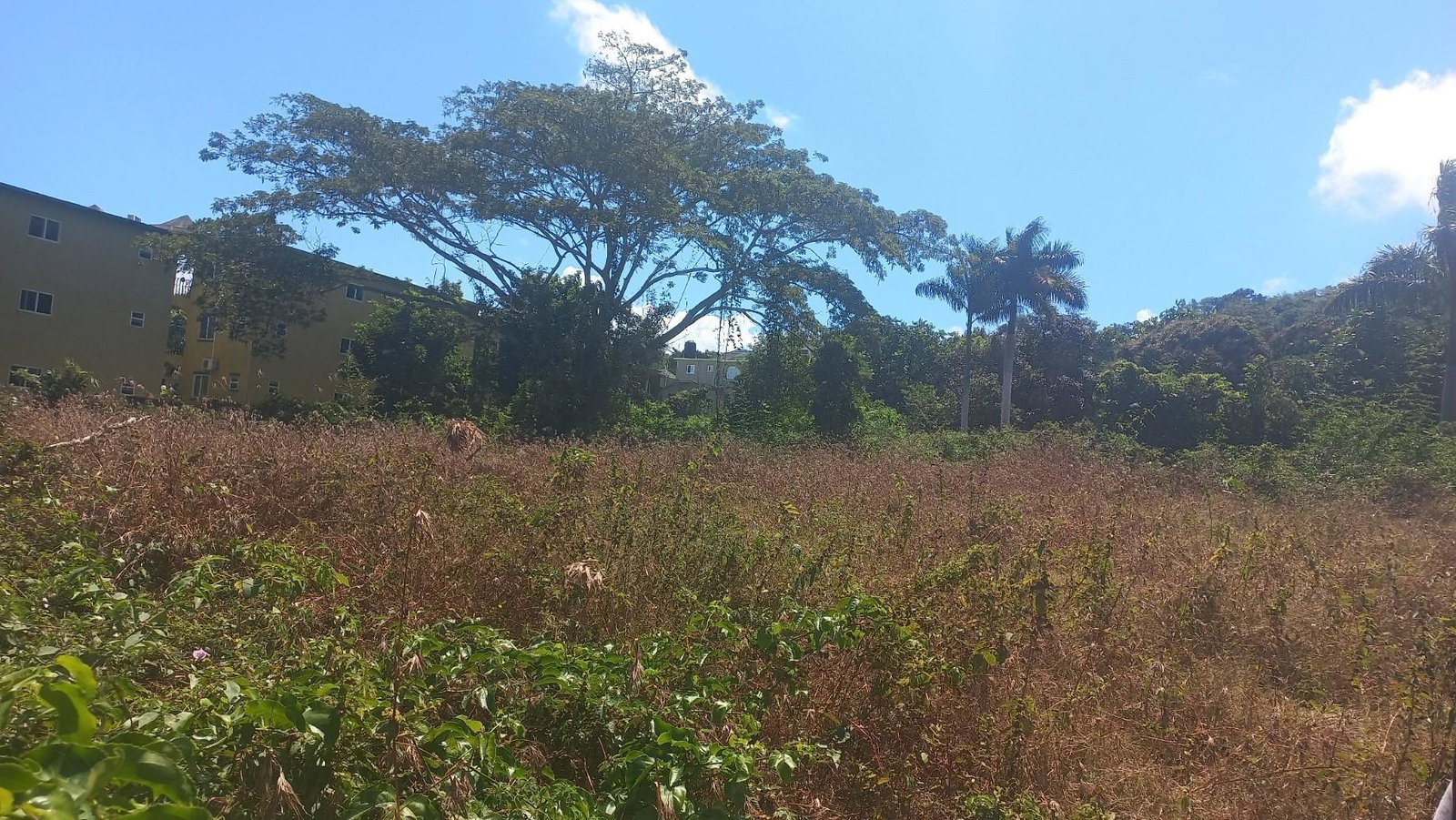 Prime-8-Acre-Development-Land-for-Sale-in-Rose-Hall-Montego-Bay-St.-James Fifth image of Spot Valley, St. James in SPOT VALLEY, St. James, Jamaica - property is For Sale