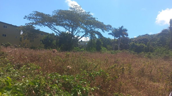 Fifth image of Spot Valley, St. James in SPOT VALLEY, St. James, Jamaica - property is For Sale