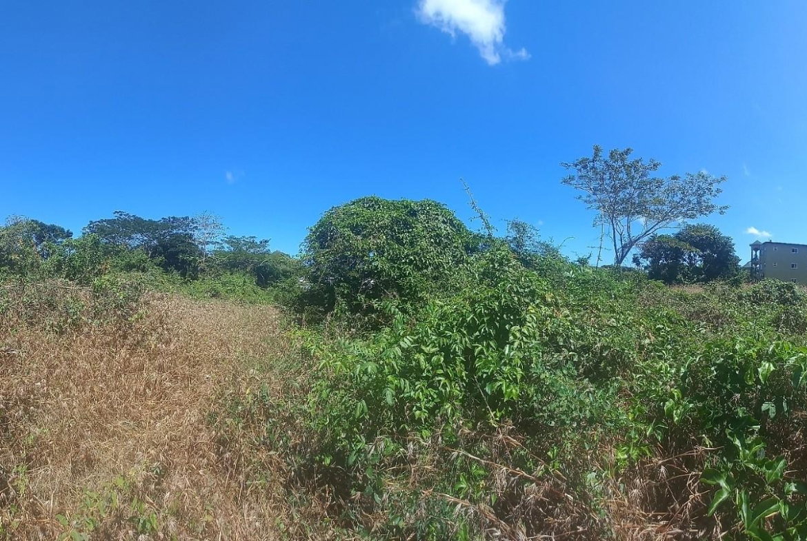 Sixth image of Spot Valley, St. James in SPOT VALLEY, St. James, Jamaica - property is For Sale