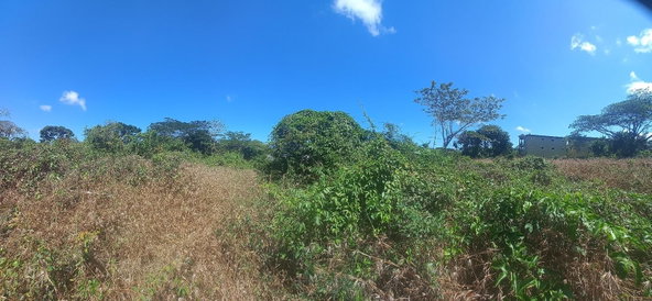 Sixth image of Spot Valley, St. James in SPOT VALLEY, St. James, Jamaica - property is For Sale