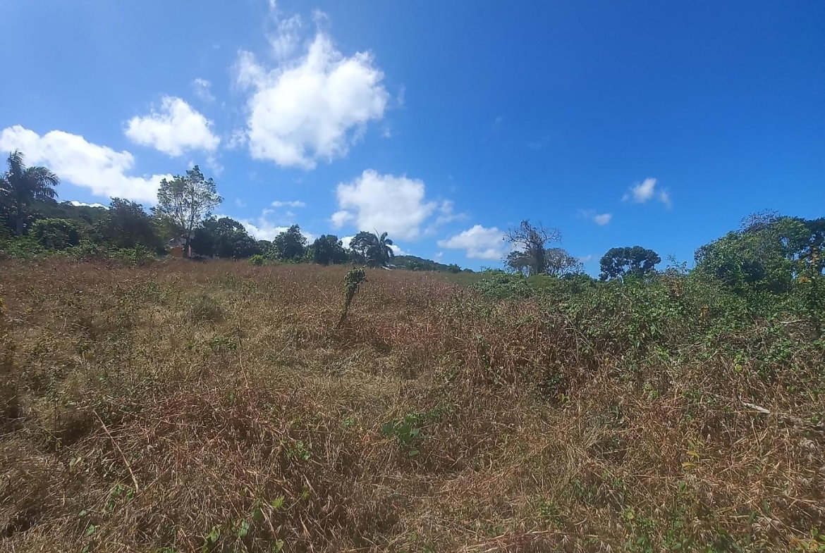 Seventh image of Spot Valley, St. James in SPOT VALLEY, St. James, Jamaica - property is For Sale