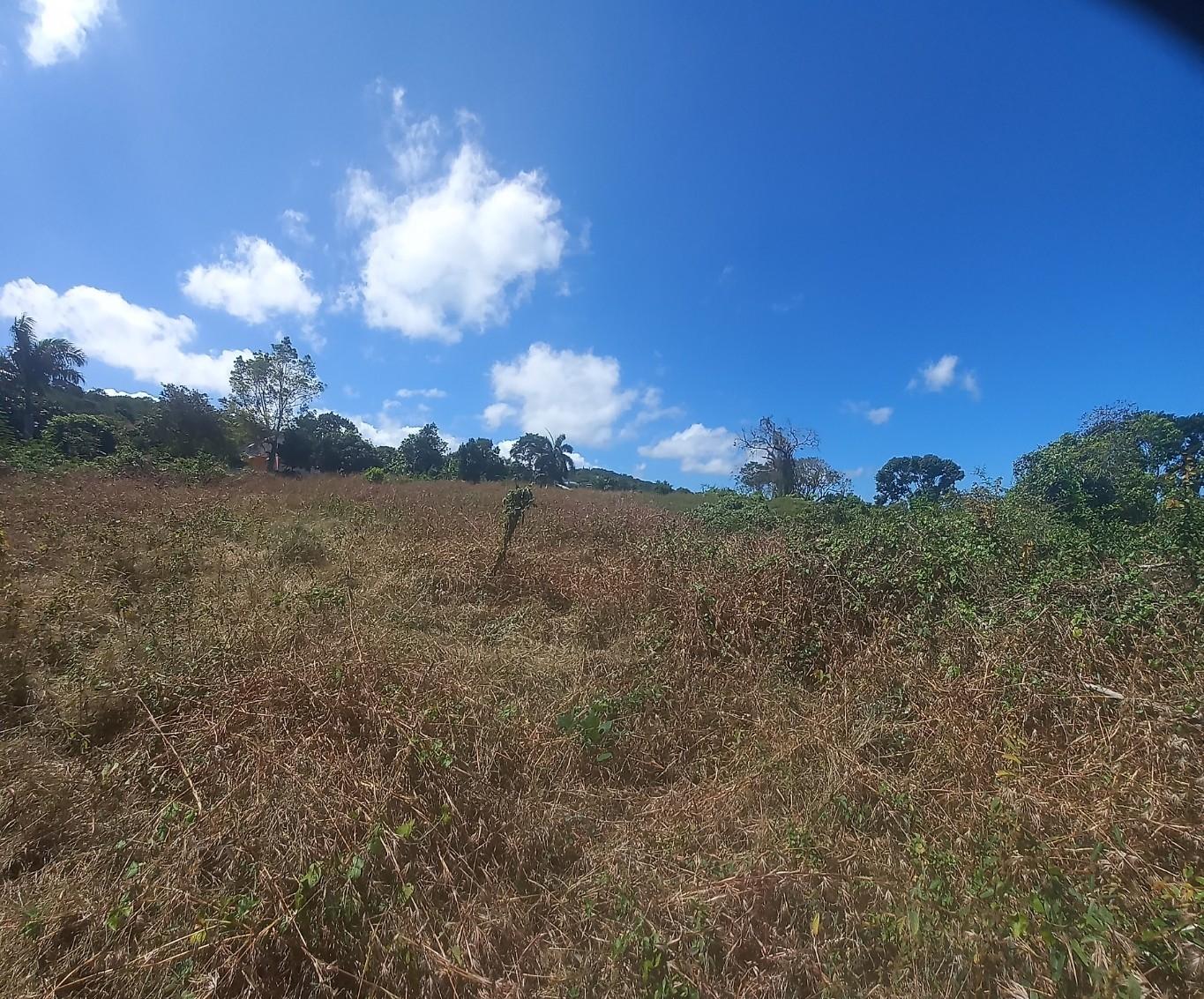 Prime-8-Acre-Development-Land-for-Sale-in-Rose-Hall-Montego-Bay-St.-James Seventh image of Spot Valley, St. James in SPOT VALLEY, St. James, Jamaica - property is For Sale
