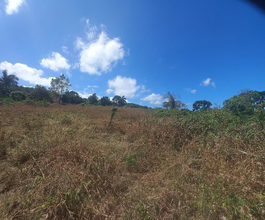 Seventh image of Spot Valley, St. James in SPOT VALLEY, St. James, Jamaica - property is For Sale