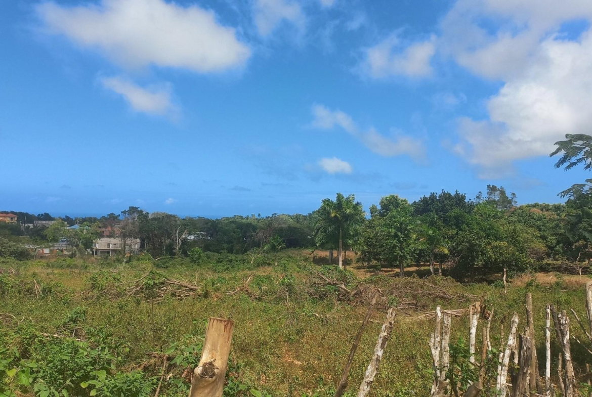 Eighth image of Spot Valley, St. James in SPOT VALLEY, St. James, Jamaica - property is For Sale