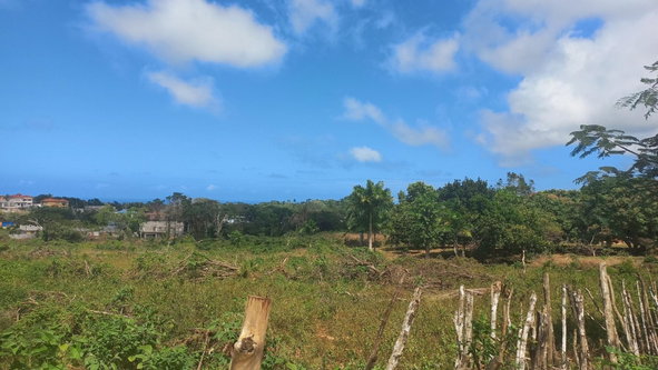 Eighth image of Spot Valley, St. James in SPOT VALLEY, St. James, Jamaica - property is For Sale
