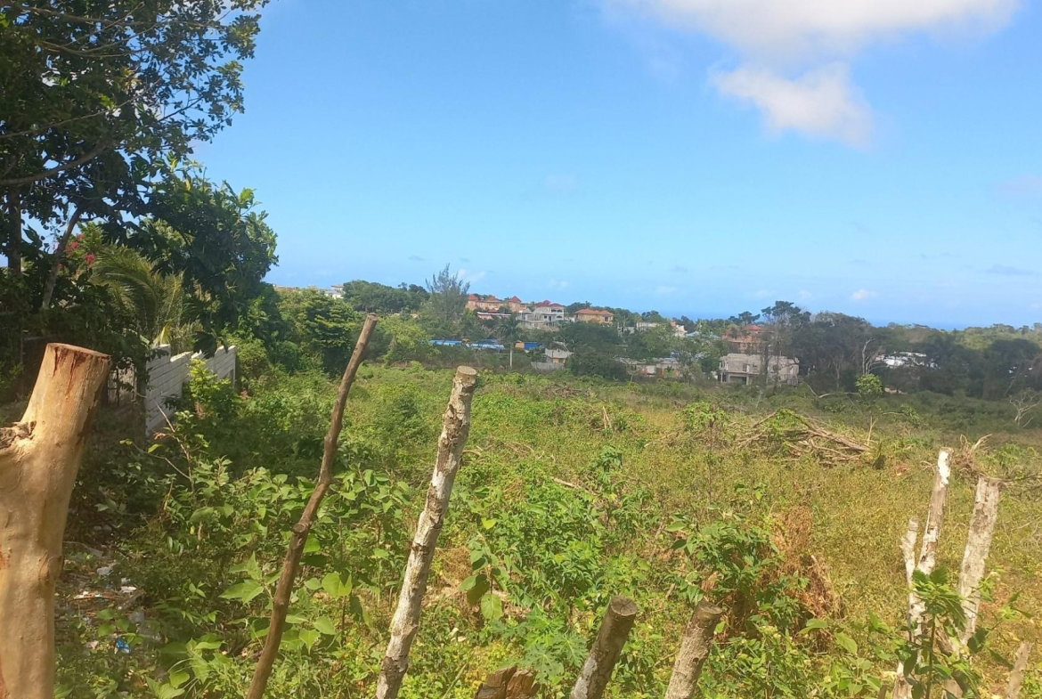 Ninth image of Spot Valley, St. James in SPOT VALLEY, St. James, Jamaica - property is For Sale