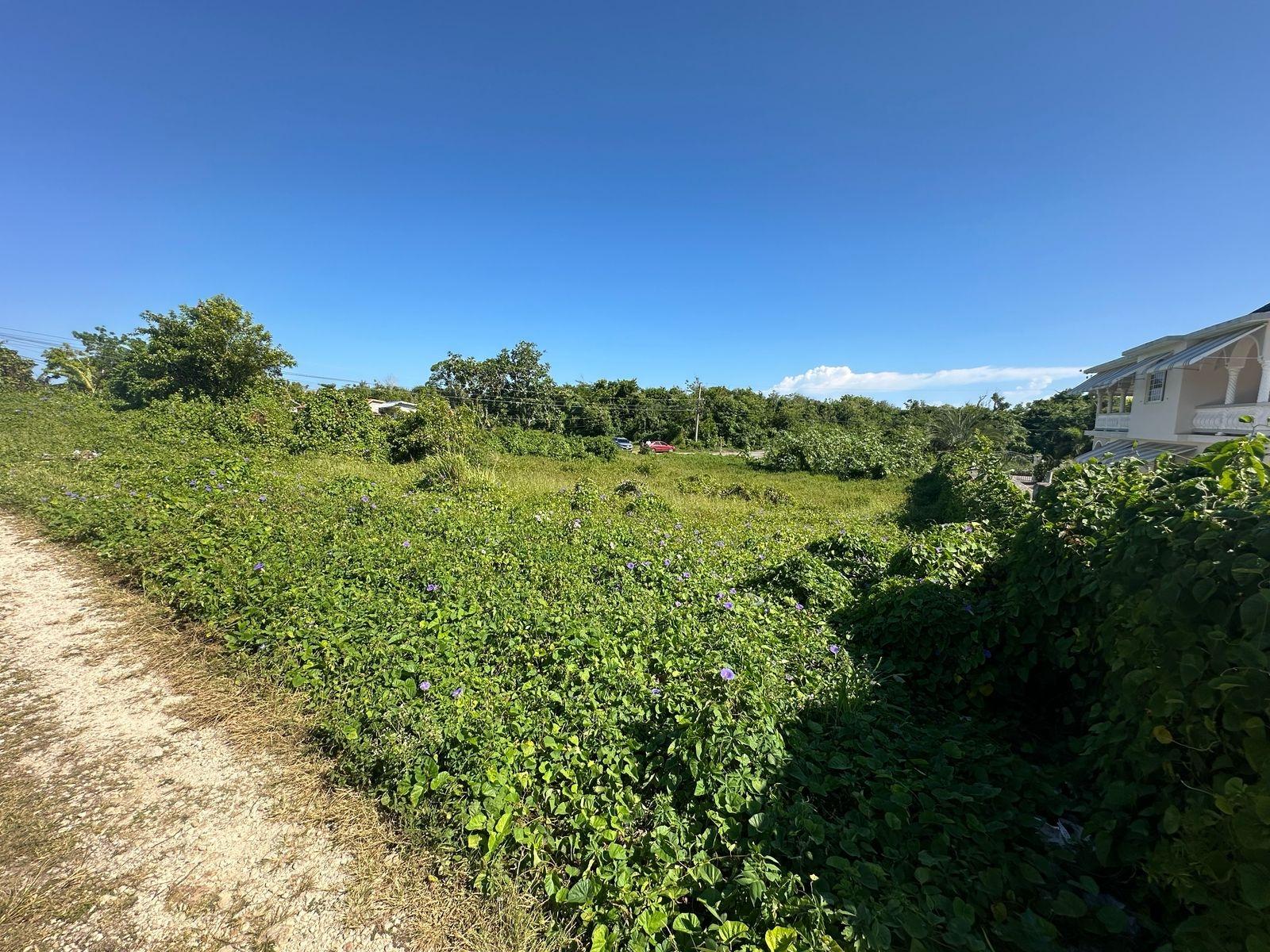Prime-Seaview-Lot-for-Sale-in-Sonway-Copperwood-Hanover-Jamaica Sixth image of 23 Sonway Crescent in Haughton Court, Hanover, Jamaica - property is For Sale