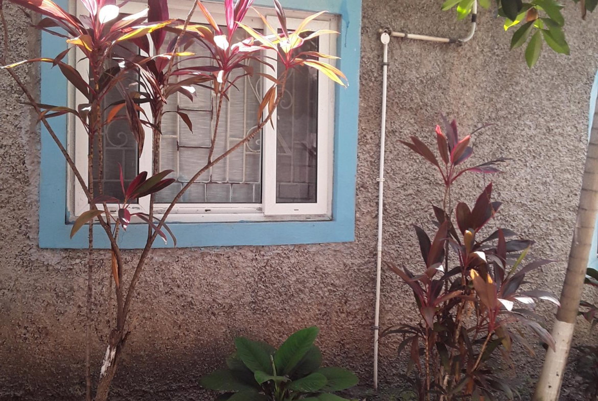 Eleventh image of 17 Mona Road Kingston 6 in Kingston 6, St. Andrew, Jamaica - property is For Sale