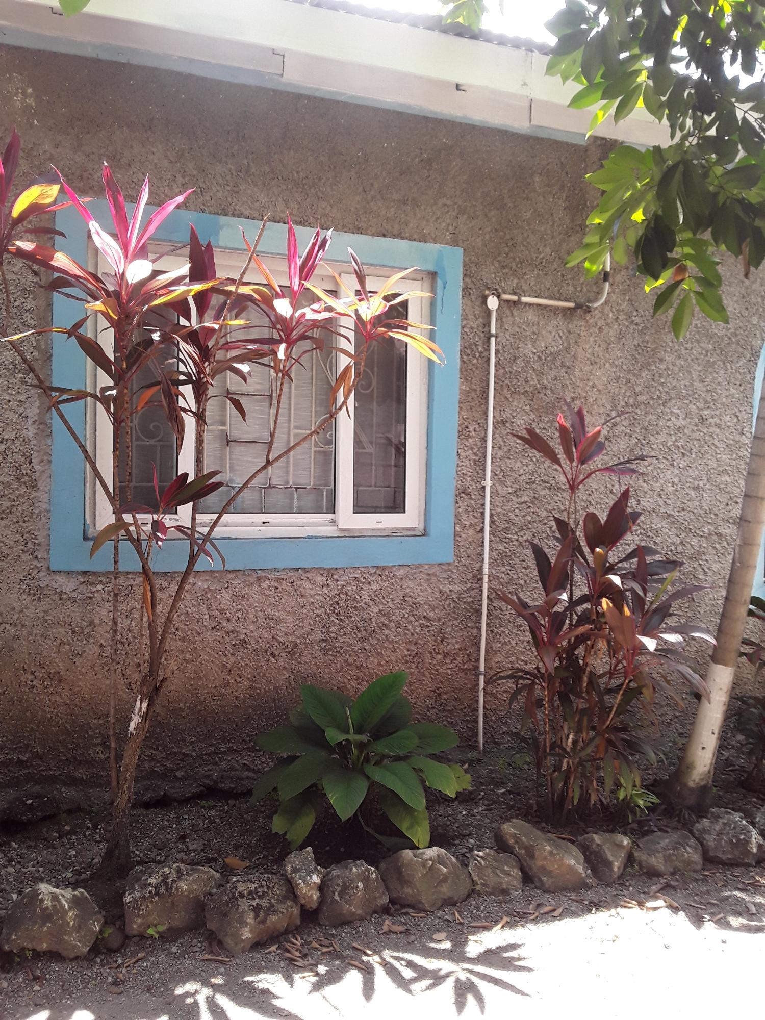 Eleventh image of 17 Mona Road Kingston 6 in Kingston 6, St. Andrew, Jamaica - property is For Sale