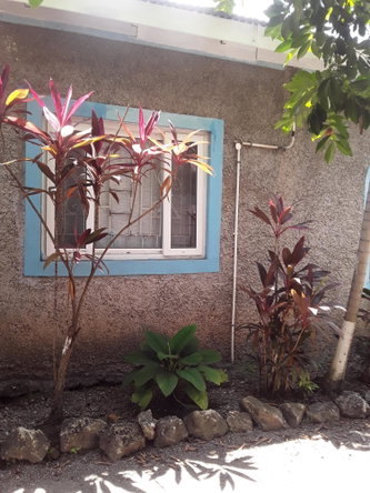 Eleventh image of 17 Mona Road Kingston 6 in Kingston 6, St. Andrew, Jamaica - property is For Sale