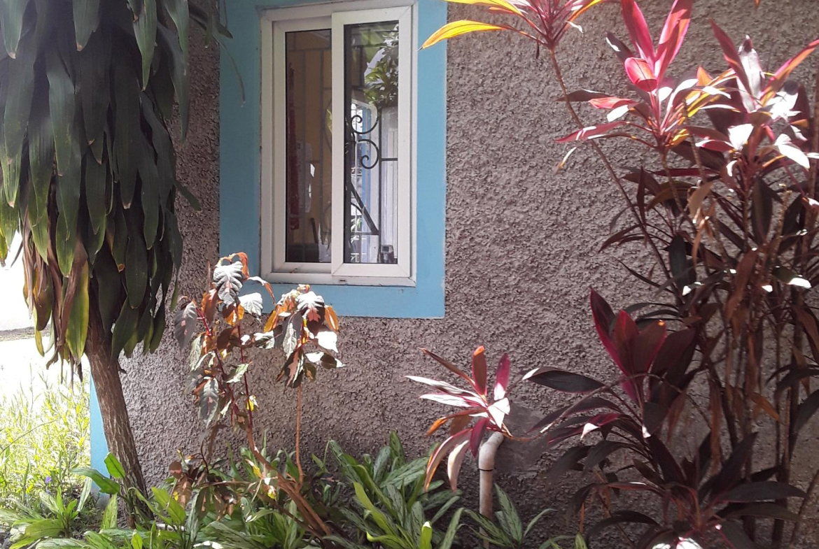 Twelfth image of 17 Mona Road Kingston 6 in Kingston 6, St. Andrew, Jamaica - property is For Sale