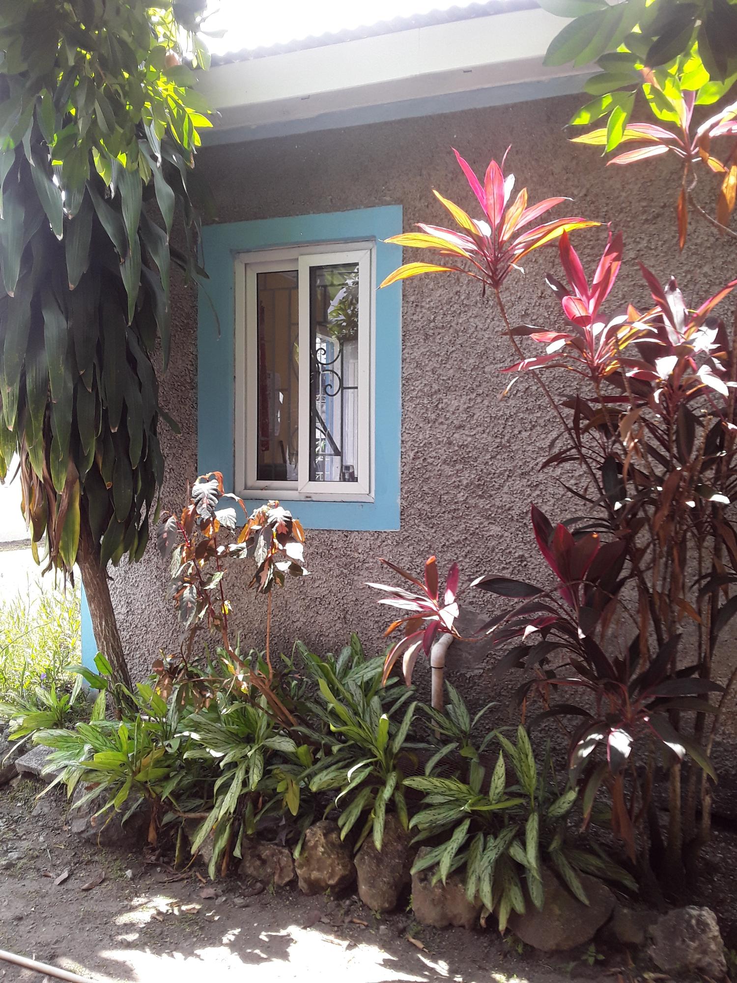 Twelfth image of 17 Mona Road Kingston 6 in Kingston 6, St. Andrew, Jamaica - property is For Sale