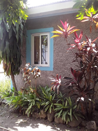 Twelfth image of 17 Mona Road Kingston 6 in Kingston 6, St. Andrew, Jamaica - property is For Sale