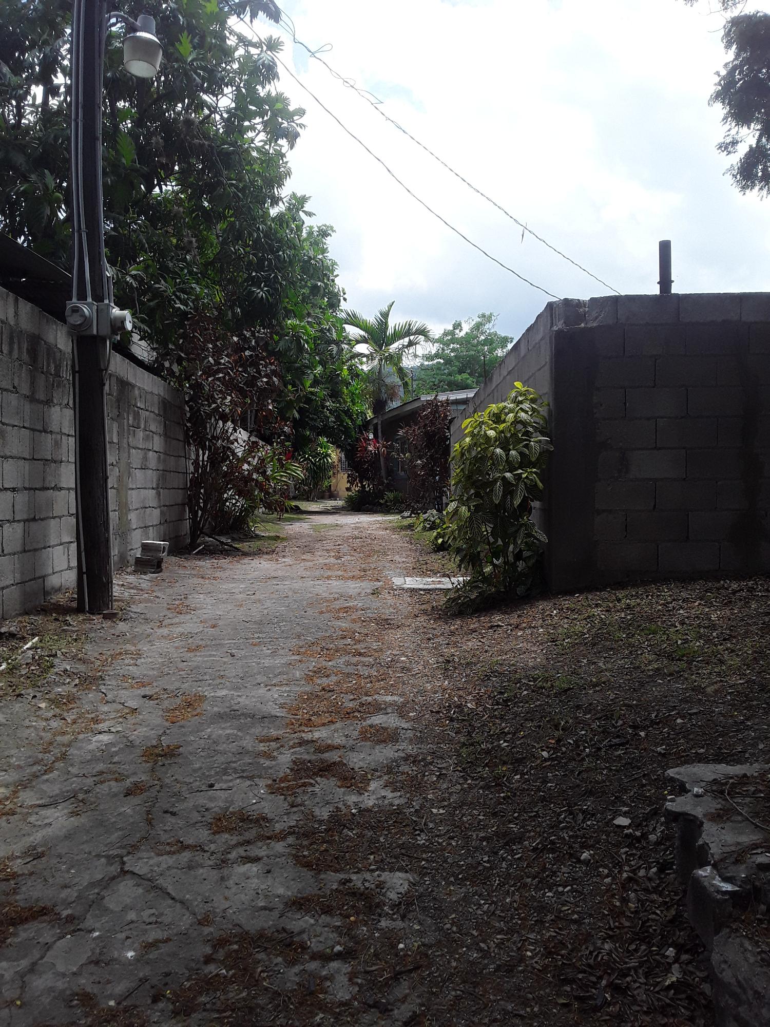 Thirteenth image of 17 Mona Road Kingston 6 in Kingston 6, St. Andrew, Jamaica - property is For Sale