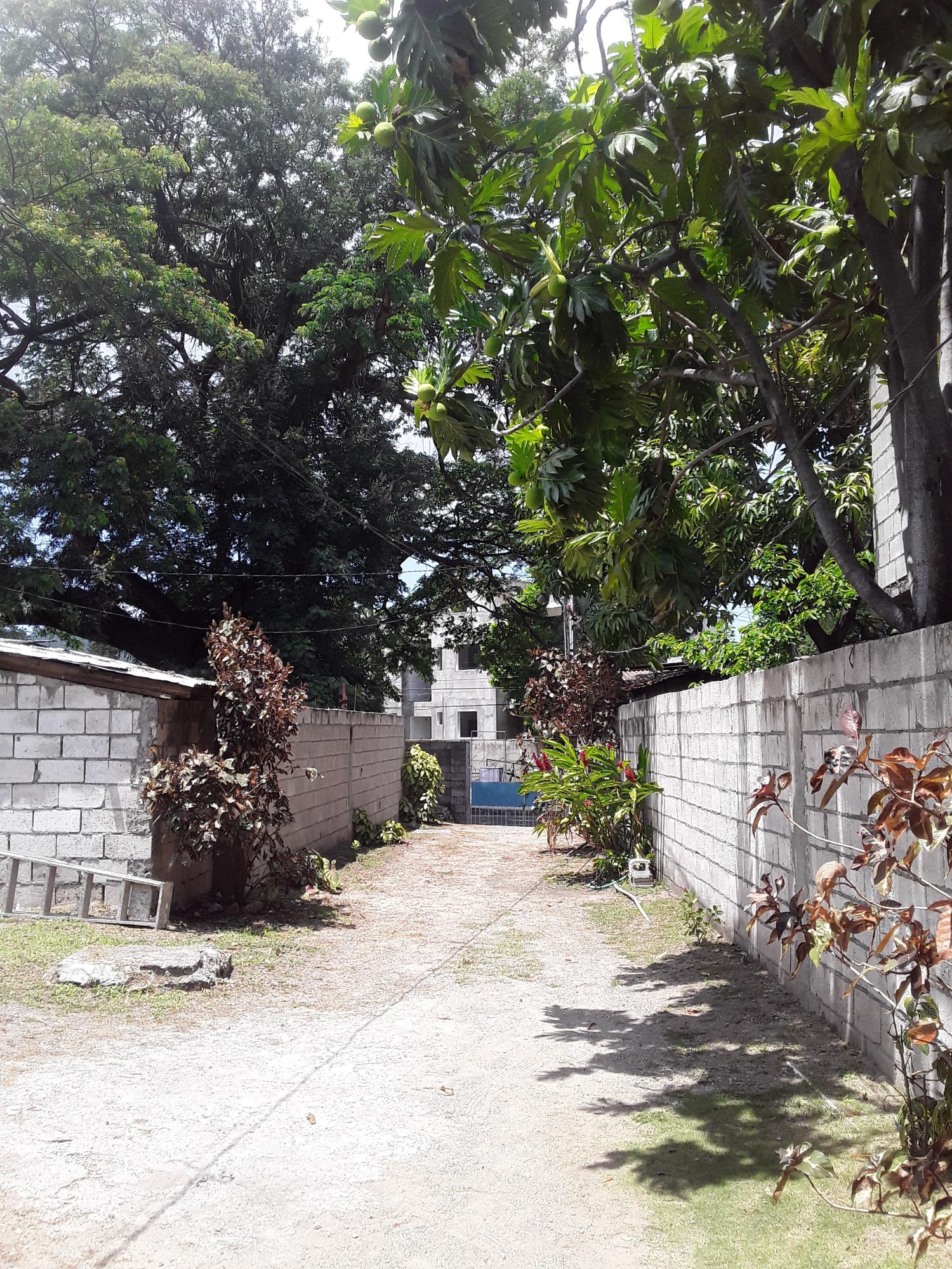 Fourteenth image of 17 Mona Road Kingston 6 in Kingston 6, St. Andrew, Jamaica - property is For Sale