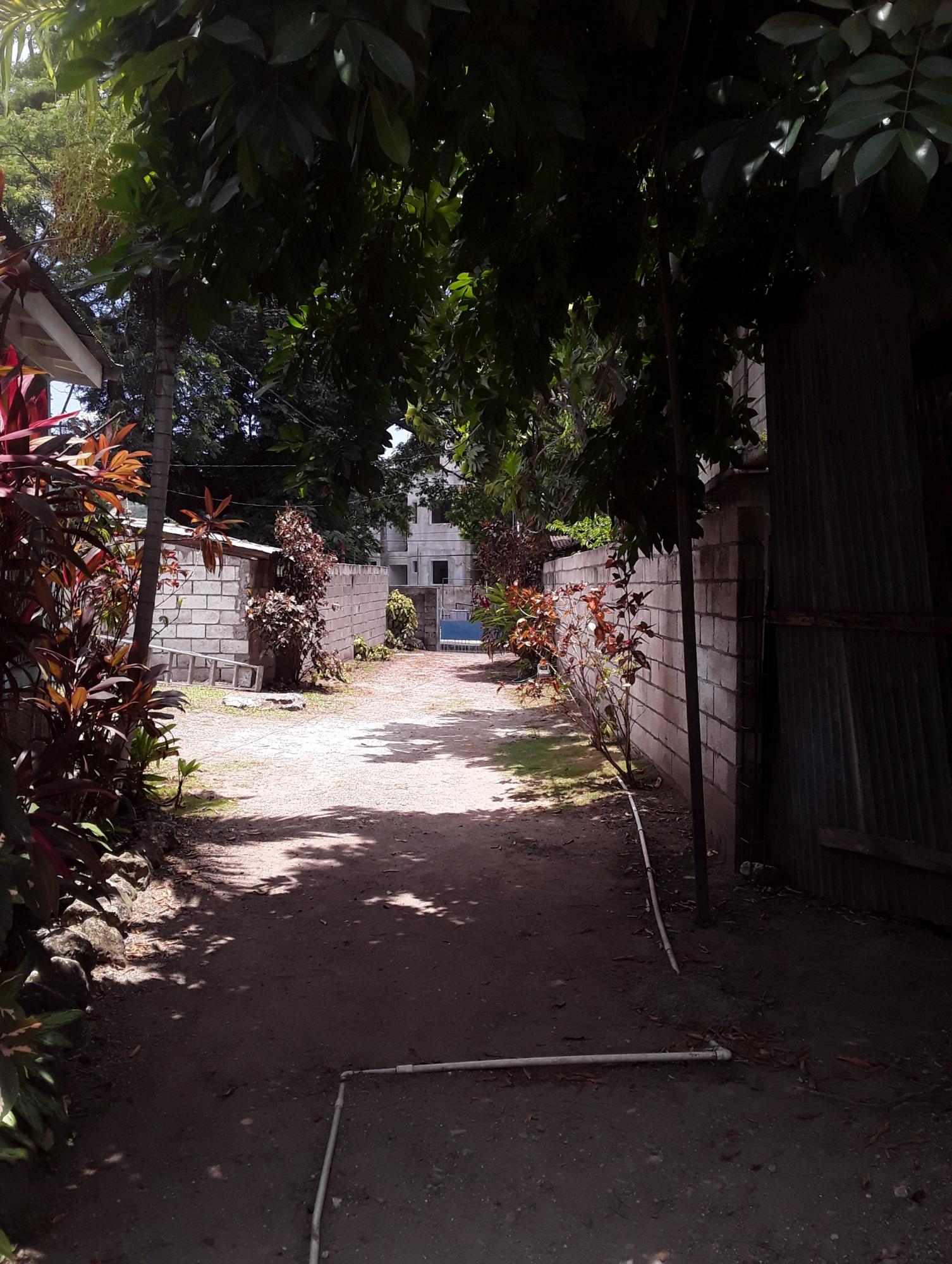 Third image of 17 Mona Road Kingston 6 in Kingston 6, St. Andrew, Jamaica - property is For Sale