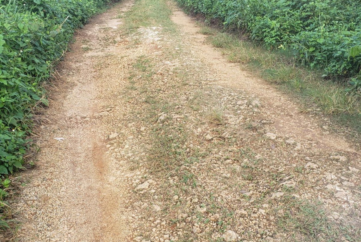 Third image of Lot 114 Commodore Fair Prospect in Commodore, Portland, Jamaica - property is For Sale