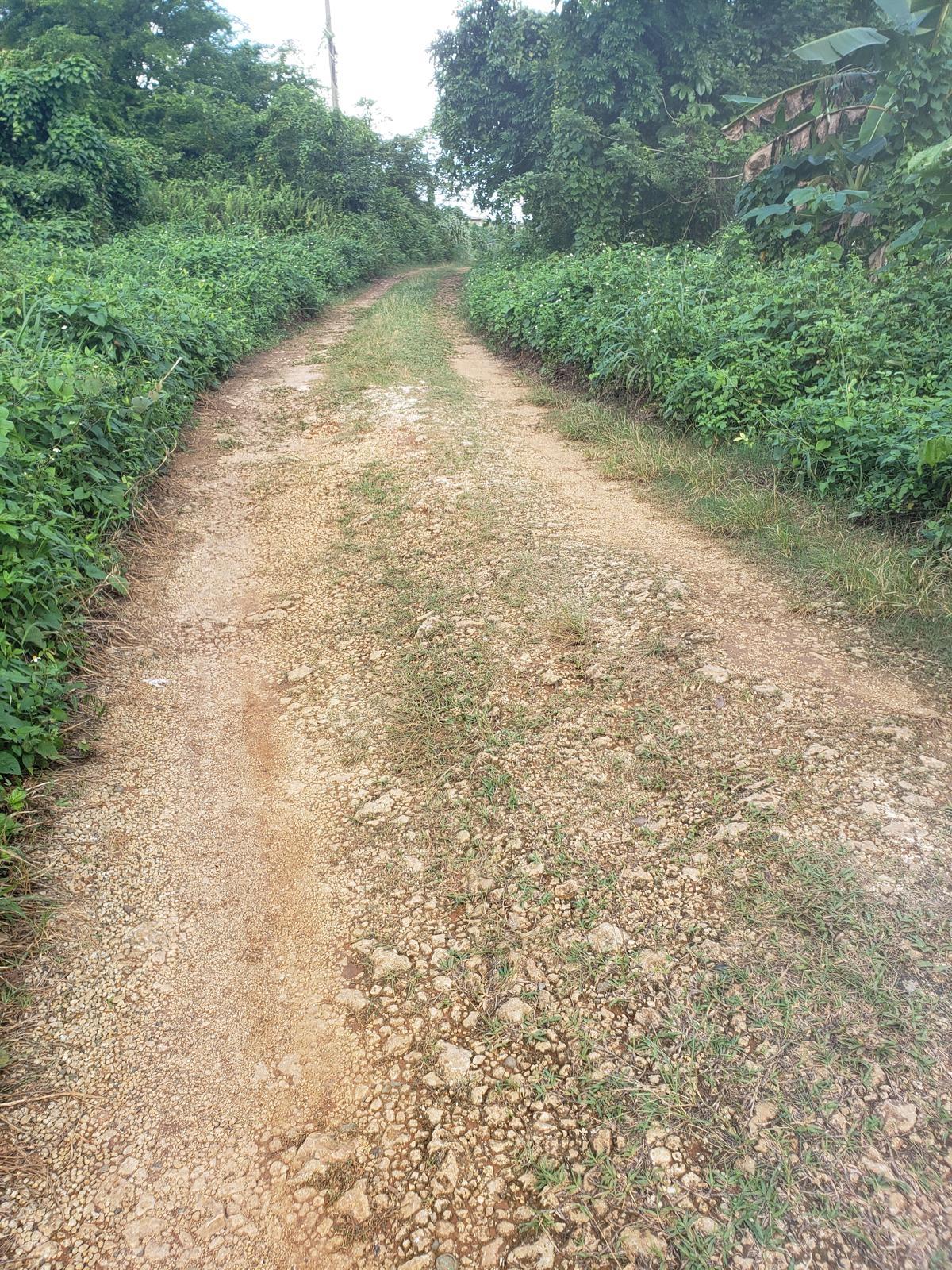 Residential-Lot-for-Sale-at-Lot-114-Commodore-Fair-Prospect-Portland-Jamaica Third image of Lot 114 Commodore Fair Prospect in Commodore, Portland, Jamaica - property is For Sale