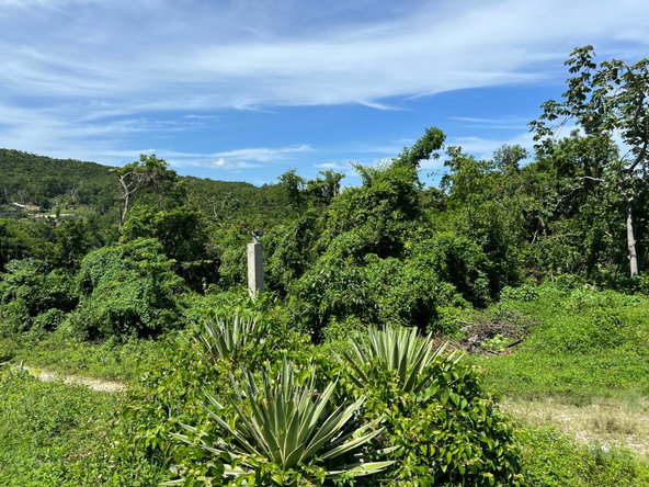 Eleventh image of Lot 11 Clarridge Hall in Spring Garden, St. James, Jamaica - property is For Sale