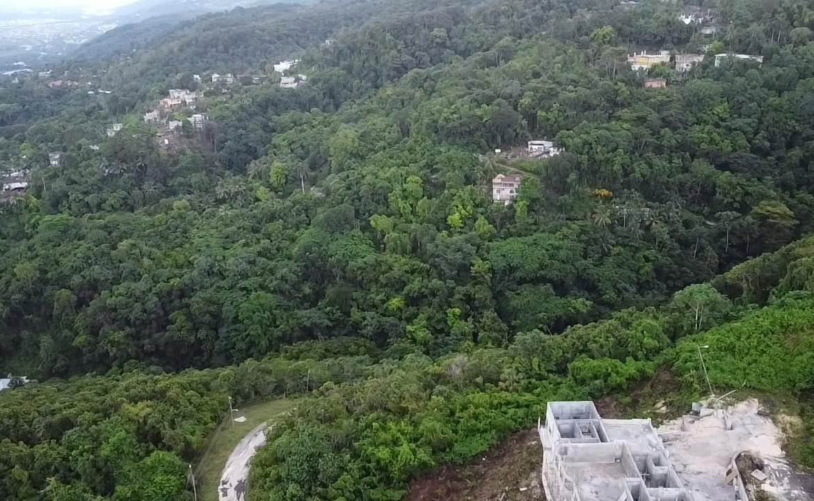 Fifteenth image of Lot 5 Clarridge Hall in Spring Garden, St. James, Jamaica - property is For Sale