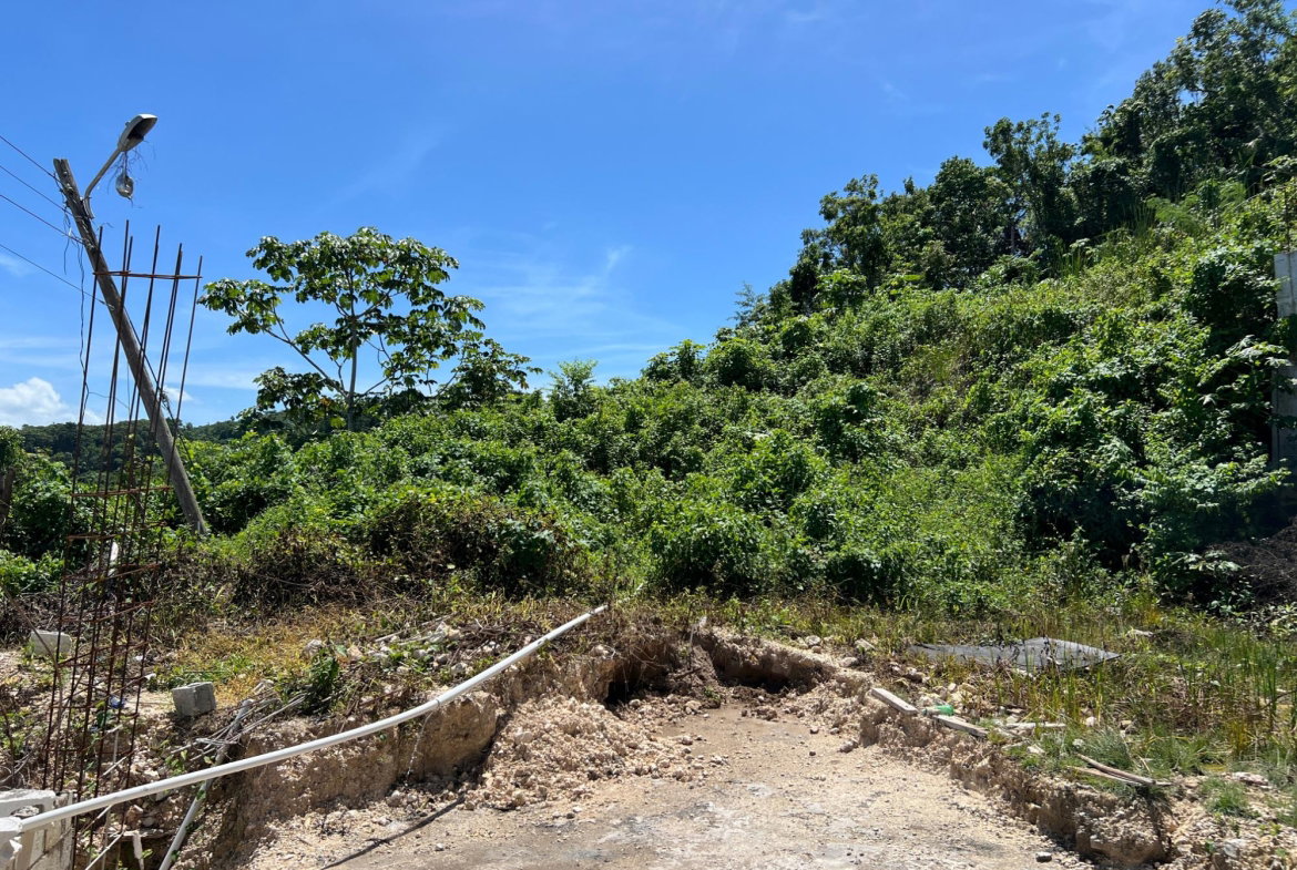 Nineteenth image of Lot 5 Clarridge Hall in Spring Garden, St. James, Jamaica - property is For Sale