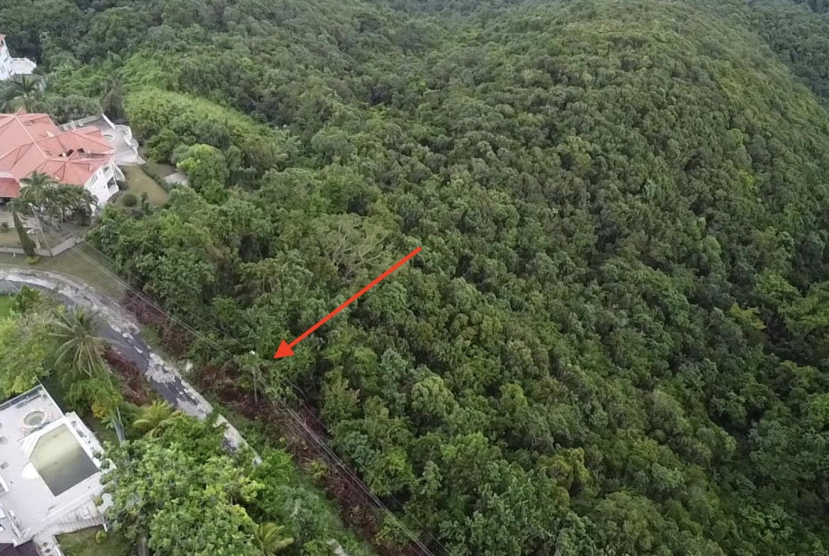 Fourth image of Lot 21 Clarridge Hall in Spring Garden, St. James, Jamaica - property is For Sale