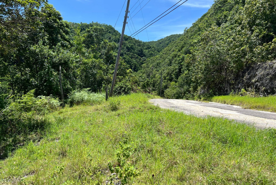 Eighth image of Lot 21 Clarridge Hall in Spring Garden, St. James, Jamaica - property is For Sale