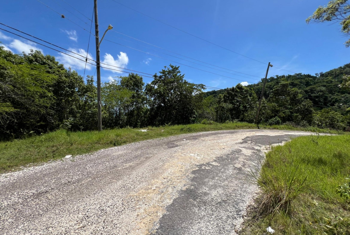 Eleventh image of Lot 24 Clarridge Hall in Spring Garden, St. James, Jamaica - property is For Sale