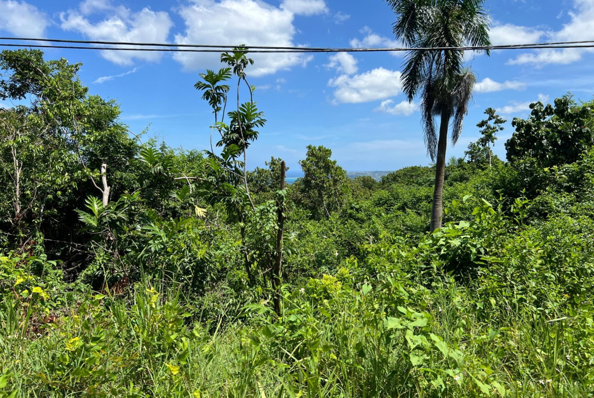 Twenty-Eighth image of Lot 24 Clarridge Hall in Spring Garden, St. James, Jamaica - property is For Sale