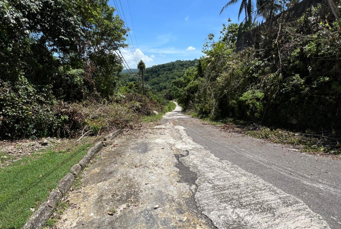 Fifteenth image of Lot 22 Clarridge Hall in Spring Garden, St. James, Jamaica - property is For Sale
